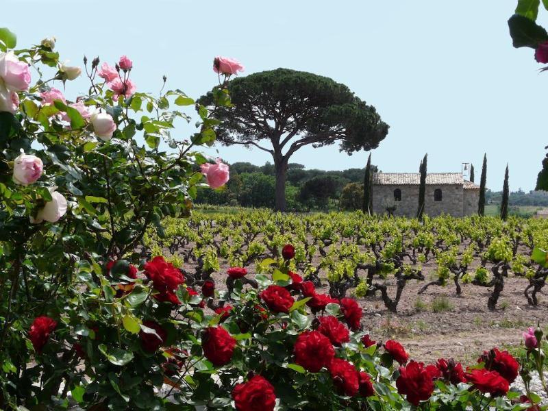 La Bastide Du Clos Des Roses - Teritoria Frejus Exterior photo